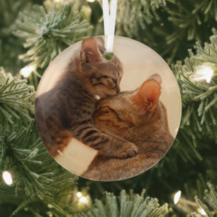Ornement En Verre Animaux de bébés cutest Tabby Kitten Kiss