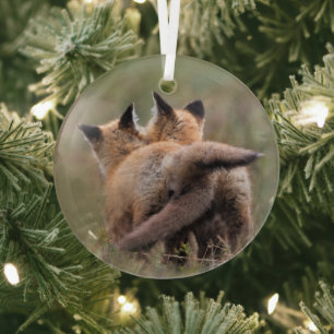 Ornement En Verre Animaux de bébés cutest Tails de verrouillage de