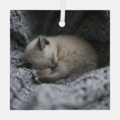 Ornement En Verre Animaux de bébés cutest | Tiny Kitten Dormir (Verso)
