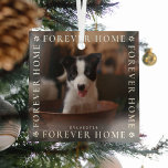 Ornement En Verre Animaux pour toujours Accueil Typographie Keepsaké<br><div class="desc">Commémorez un animal de compagnie 1er noël dans leur maison éternelle avec cet élégant ornement en verre photo. Le design présente le texte 'FOREVER HOME' en typographie blanche encadrant une image de votre choix,  de mignonnes petites empreintes blanches avec centres cardiaques et leur nom.</div>