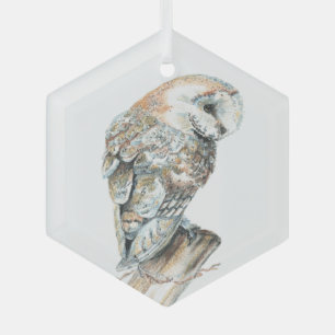 Ornement En Verre Aquarelle Chouette Oiseau Faune Nature Art