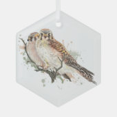 Ornement En Verre Aquarelle Kestrel Falcon Amis Couple Birds (Recto)