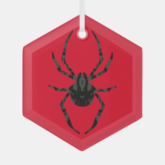 Ornement En Verre Araignée ordinaire (Recto)