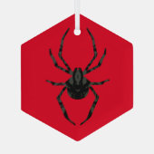 Ornement En Verre Araignée ordinaire (Verso)
