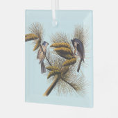Ornement En Verre Audubon Crested Titmouse Birds in Pine Tree (Avant gauche)