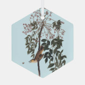 Ornement En Verre Audubon White Eyed Vireo Chanson Oiseau Art Jeter  (Verso)