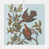 Ornement En Verre Audubon Zenaida Dove avec fleurs (Recto)