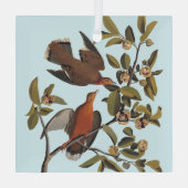 Ornement En Verre Audubon Zenaida Dove avec fleurs (Verso)