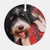 Ornement En Verre BerneDoodle relaxant sur tapis (Verso)