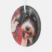 Ornement En Verre BerneDoodle relaxant sur tapis (Avant gauche)