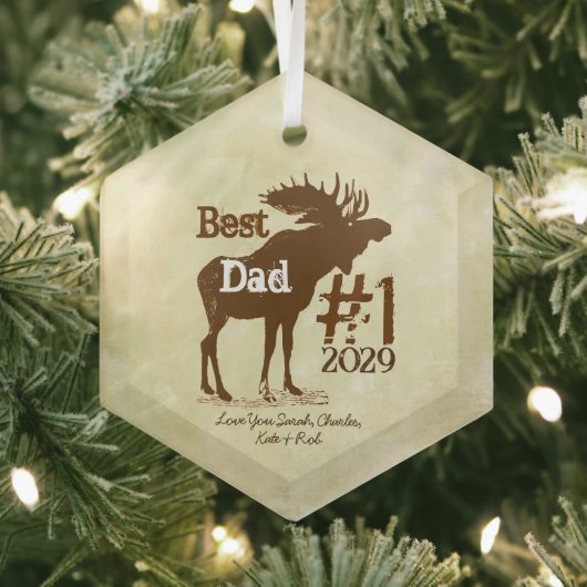 Ornement En Verre Best Father Moose Award Ornaments (Insitu)