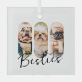 Ornement En Verre Besties Animal simple moderne Jouer Trois photos (Recto)