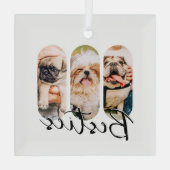 Ornement En Verre Besties Animal simple moderne Jouer Trois photos (Verso)