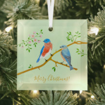 Bluebirds