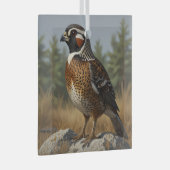 Ornement En Verre Bobwhite (Avant droite)