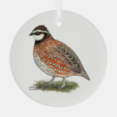 Ornement En Verre Bobwhite Quail (Verso)