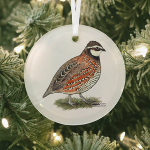Ornement En Verre Bobwhite Quail
