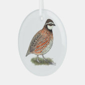 Ornement En Verre Bobwhite Quail (Avant gauche)