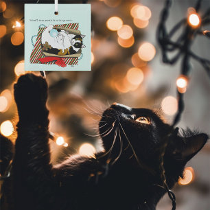 Ornement En Verre Boîte cadeau drôle de chat calico de Noël