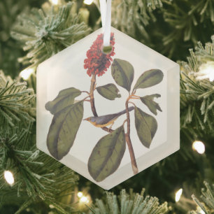 Ornement En Verre Bonaparte Moucherolle Canada Paruline Audubon Oise