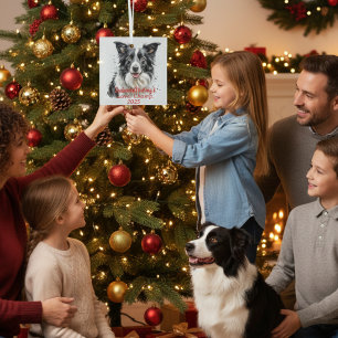 Ornement En Verre Bordure de photo de familier Border Collie Personn