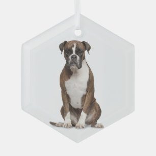 Ornement En Verre Boxer chien animal animal animal animal de compagn