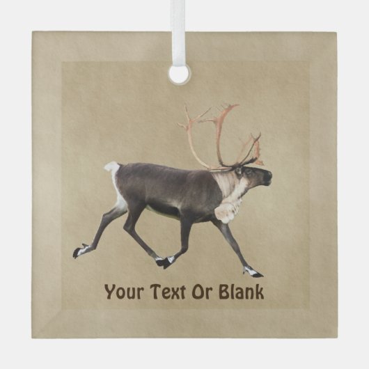 Ornement En Verre Bull Caribou (Reindeer) Sur Ancien Papier (Recto)