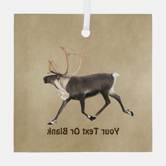 Ornement En Verre Bull Caribou (Reindeer) Sur Ancien Papier (Verso)