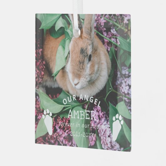 Ornement En Verre Bunny Empreintes de pattes Notre Ange Photo Rabbit (Avant gauche)