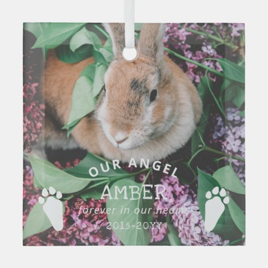 Ornement En Verre Bunny Empreintes de pattes Notre Ange Photo Rabbit (Recto)