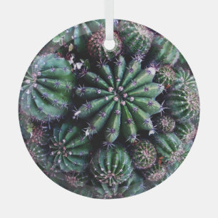Ornement En Verre Cactus de la maison : Nourriture belle conception