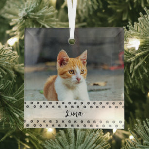 Ornement En Verre Cadeau de Noël de photo de chat pour les amateurs 