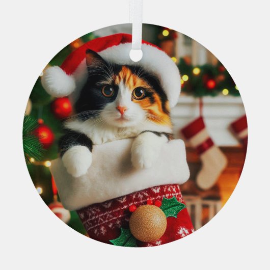 Ornement En Verre Calico Chat dans l'ornement en verre empilé (Verso)