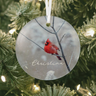 Ornement En Verre Cardinal rouge d'hiver en neige