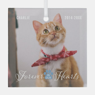 Ornement En Verre Cat Memorial Forever dans nos coeurs Photo et nom