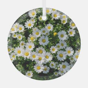 Ornement En Verre Champ de marguerite du printemps : Arrière - plan