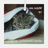 Ornement En Verre Chat couché à Santa Hat (Verso)