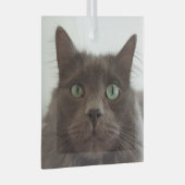 Ornement En Verre Chat gris (Avant droite)