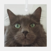 Ornement En Verre Chat gris (Verso)