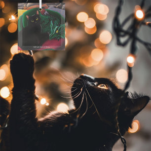 Ornement En Verre Chat Noir Mystique Émeraude Dragon Fantastique Ver