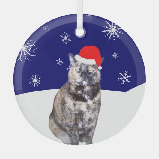 Ornement En Verre Chat Tortoiseshell à Santa Hat avec Snowy Hills (Recto)