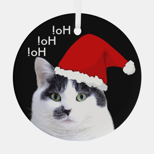 Ornement En Verre Chats à Santa Hats Noël (Verso)