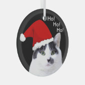 Ornement En Verre Chats à Santa Hats Noël (Avant droite)