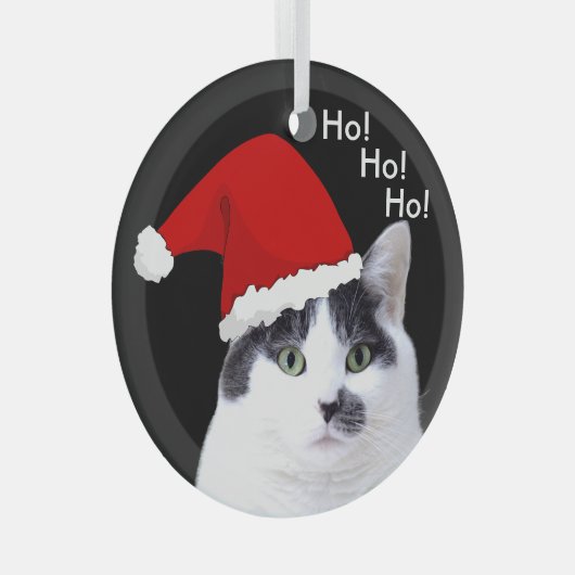 Ornement En Verre Chats à Santa Hats Noël (Avant droite)