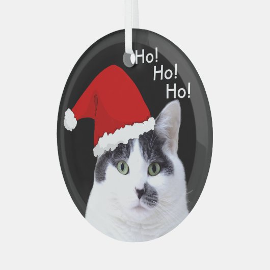 Ornement En Verre Chats à Santa Hats Noël (Avant gauche)