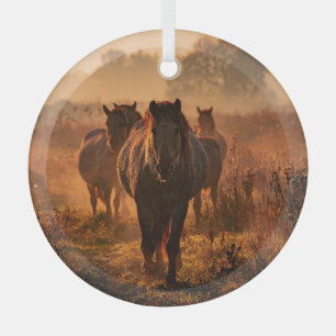 Ornement En Verre Chevaux sauvages : Rencontre intense avec le regar