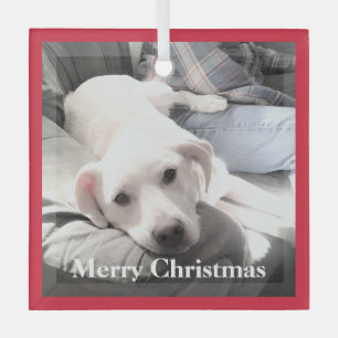 Ornement En Verre Chien blanc mignon avec papa sur le canapé rouge