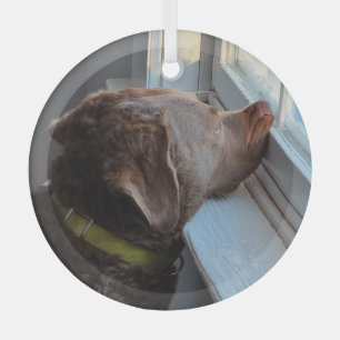 Ornement En Verre Chien dans la fenêtre