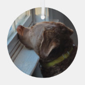 Ornement En Verre Chien dans la fenêtre (Verso)