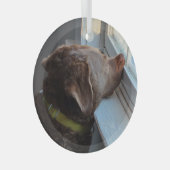 Ornement En Verre Chien dans la fenêtre (Avant droite)